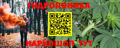 молекула духа Бузулук
