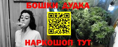 молекула духа Бузулук