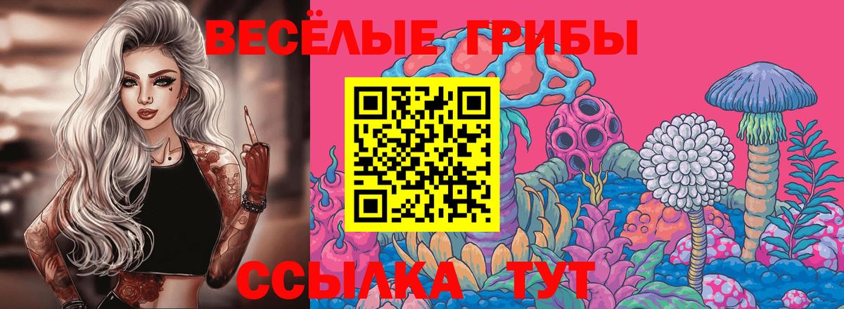Орёл  Галлюциногенные грибы MAGIC MUSHROOMS  Вход с VPN 
